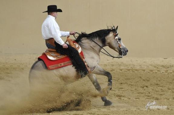 ..:: NRHA CZECH :: REINING FAQ ::..
